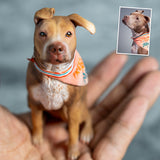 Figurka zvířátka na zakázku