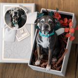 Figurka zvířátka na zakázku