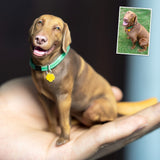 Figurka zvířátka na zakázku