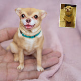 Figurka zvířátka na zakázku