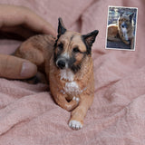 Figurka zvířátka na zakázku