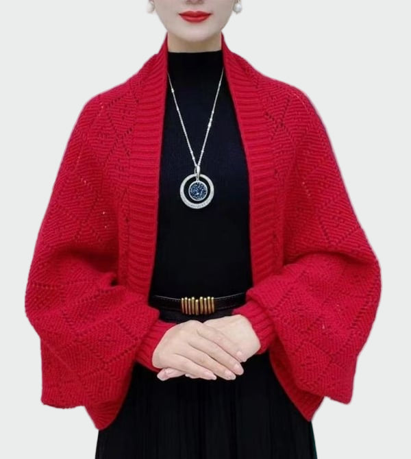 Konečné Doplňující Kousek Každého Vzhledu