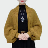 Konečné Doplňující Kousek Každého Vzhledu